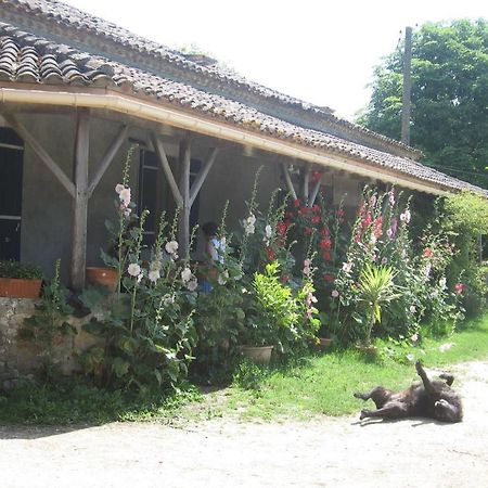 Chambres D'Hotes Le Chintre Queyssel Εξωτερικό φωτογραφία