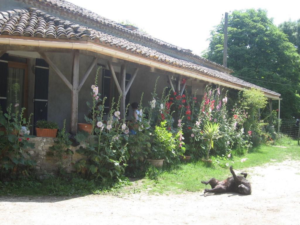 Chambres D'Hotes Le Chintre Queyssel Εξωτερικό φωτογραφία
